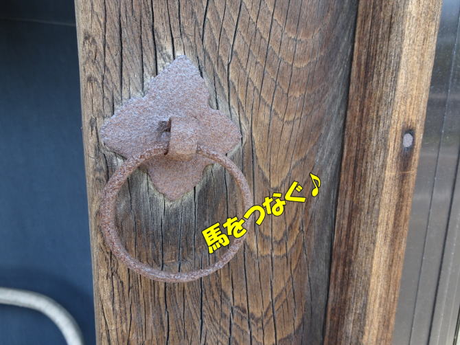 �O�H�ƏZ��i�����ĉ� �ɐ��v�j�̔n�q��